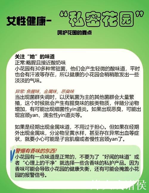 “深入解析微密圈是什么及其功能”